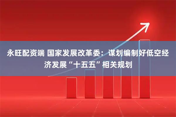 永旺配资端 国家发展改革委：谋划编制好低空经济发展“十五五”相关规划