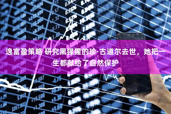 逸富盈策略 研究黑猩猩的珍·古道尔去世，她把一生都献给了自然保护