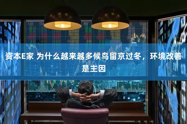 资本E家 为什么越来越多候鸟留京过冬，环境改善是主因