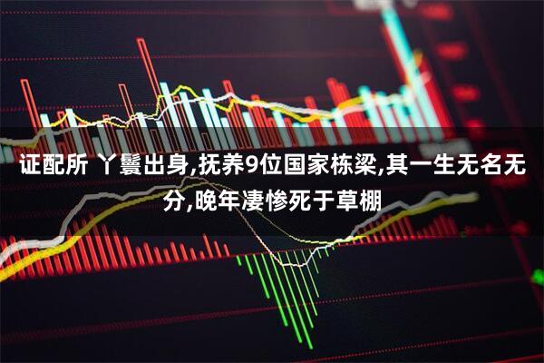 证配所 丫鬟出身,抚养9位国家栋梁,其一生无名无分,晚年凄惨死于草棚