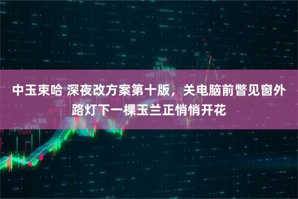 中玉束哈 深夜改方案第十版，关电脑前瞥见窗外路灯下一棵玉兰正悄悄开花
