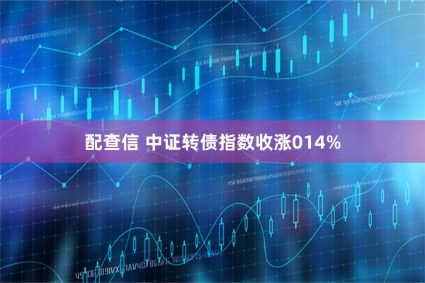 配查信 中证转债指数收涨014%