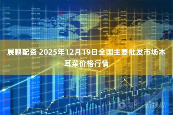 展鹏配资 2025年12月19日全国主要批发市场木耳菜价格行情