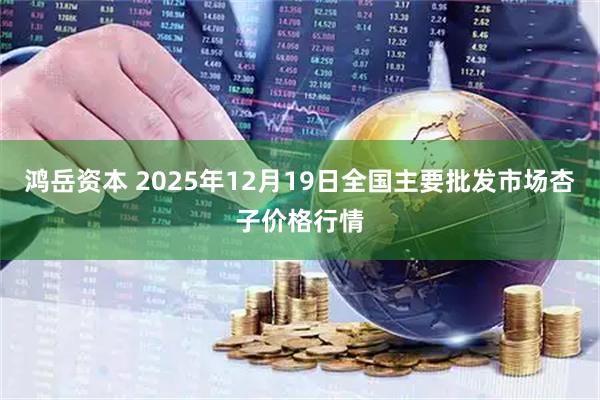 鸿岳资本 2025年12月19日全国主要批发市场杏子价格行情