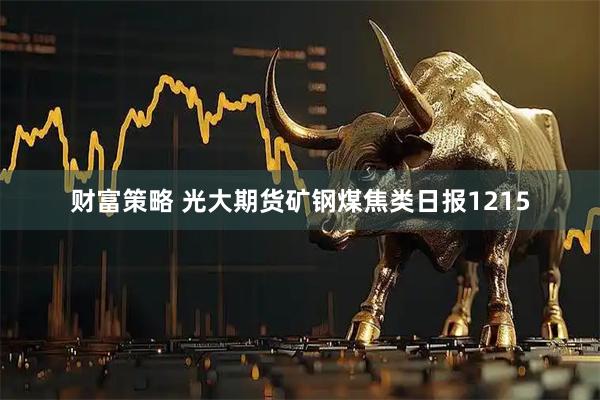 财富策略 光大期货矿钢煤焦类日报1215