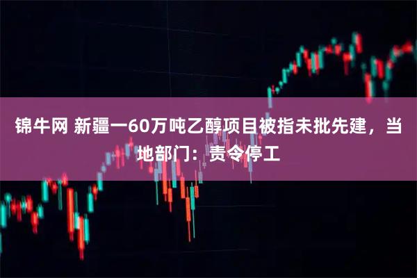 锦牛网 新疆一60万吨乙醇项目被指未批先建，当地部门：责令停工