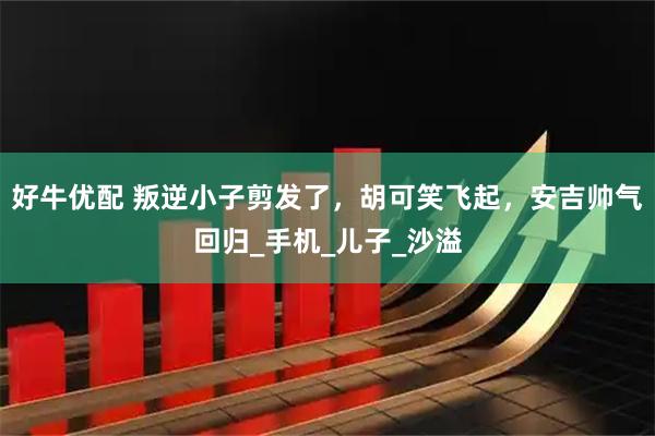 好牛优配 叛逆小子剪发了，胡可笑飞起，安吉帅气回归_手机_儿子_沙溢